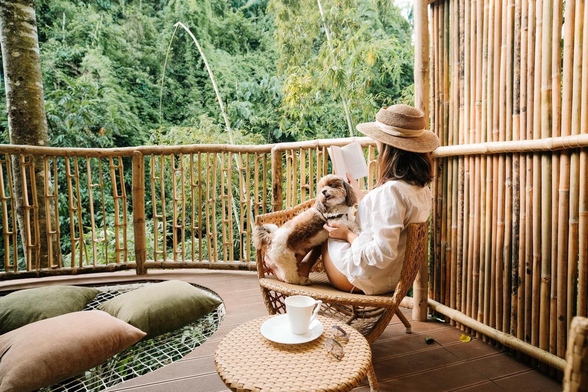 Vila Treehouse De Valentine Balamban Exteriér fotografie