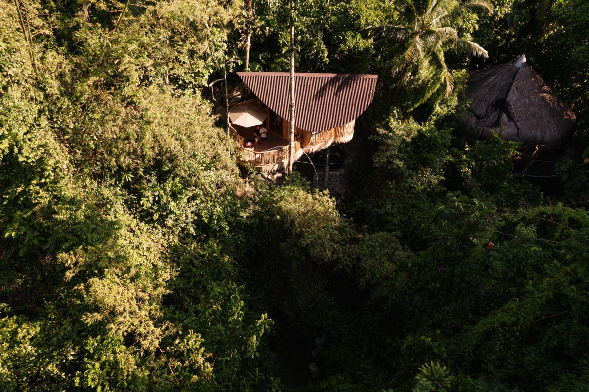 Vila Treehouse De Valentine Balamban Exteriér fotografie